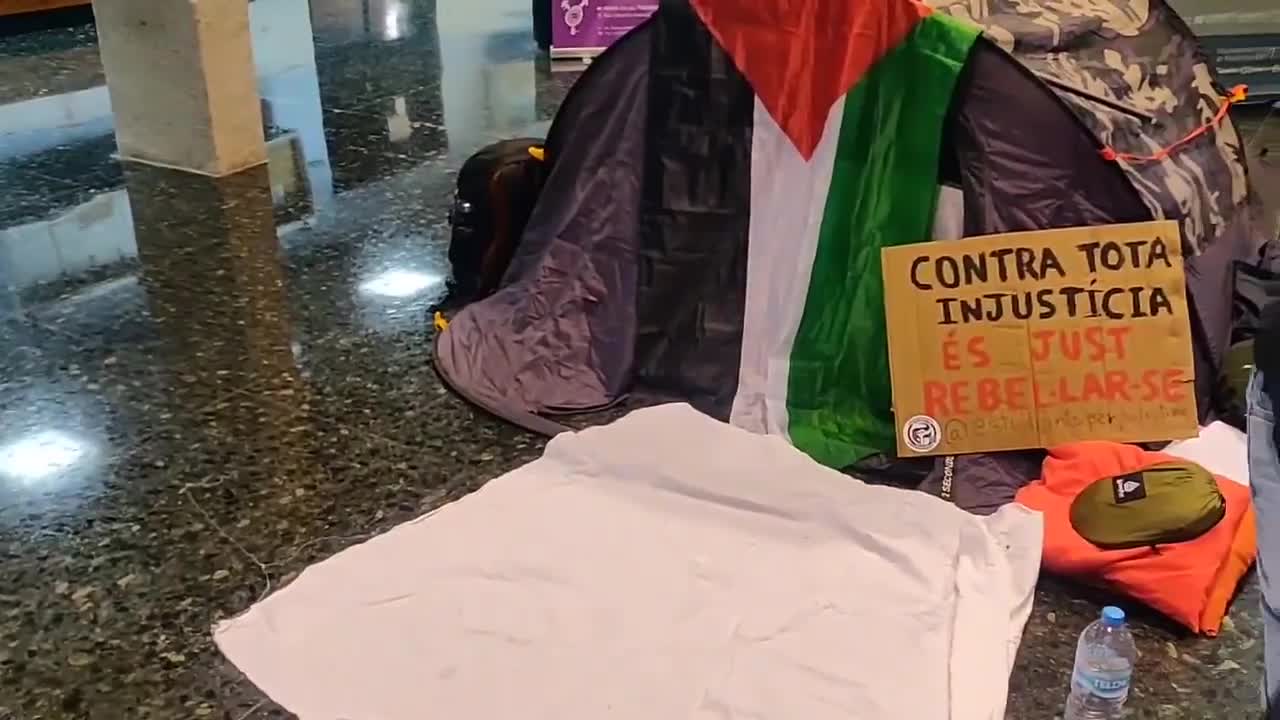 جامعة فالنسيا تنضم الى حراك الجامعات.. طلاب ينصبون خياماً دعماً للشعب الفلسطيني