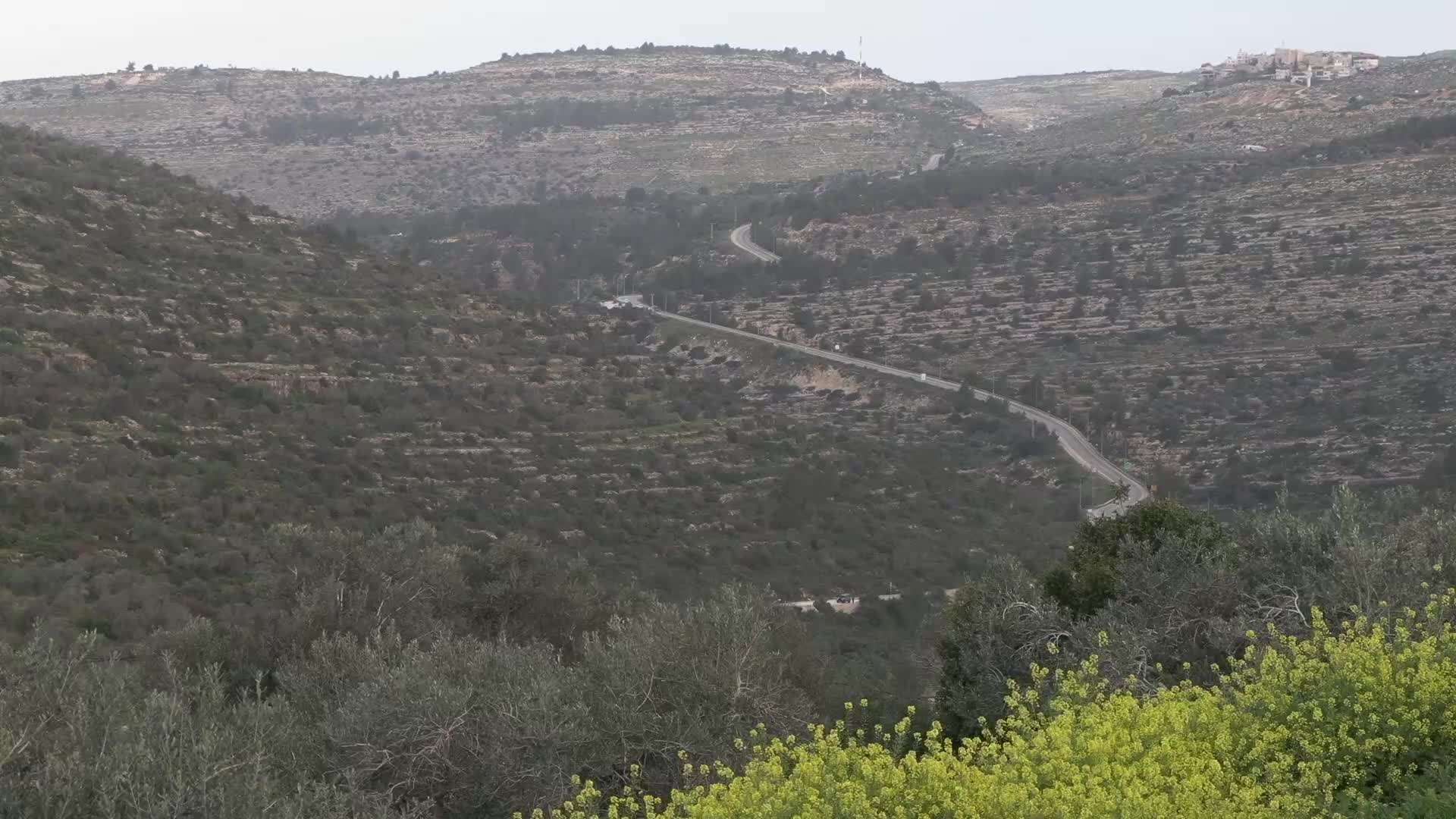 إصابة 7 إسرائيليين في عملية إطلاق نار غربي رام الله.. والاحتلال يغتال المنفّذ