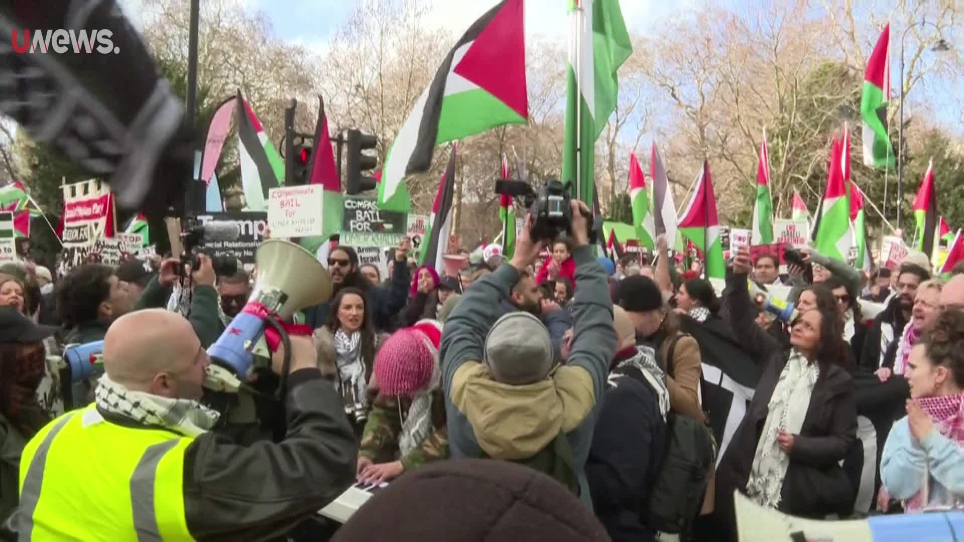 Major London Rally Demonstrates Solidarity with Palestine Amid Gaza Conflict